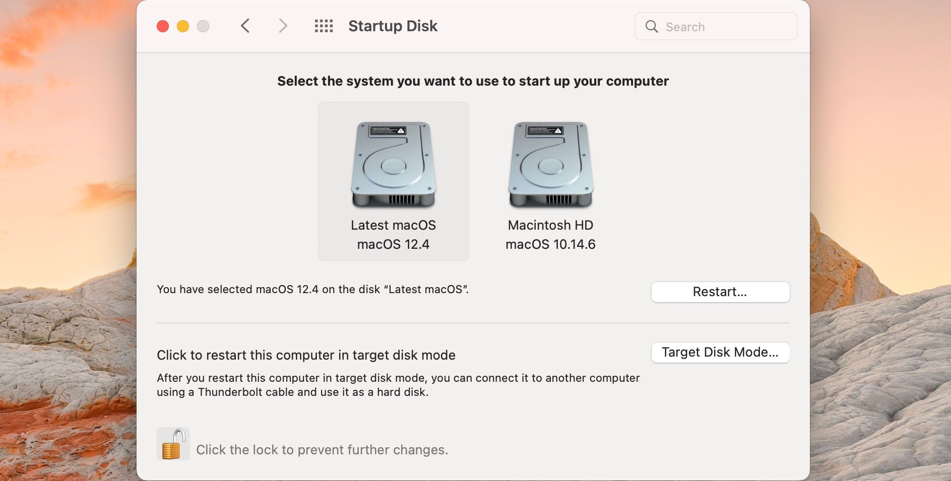 Screenshot of the Startup Disk preferences on a macbook computer.