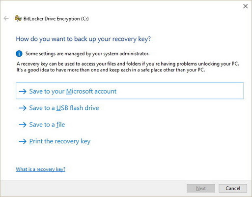 backup bitlocker recovery key