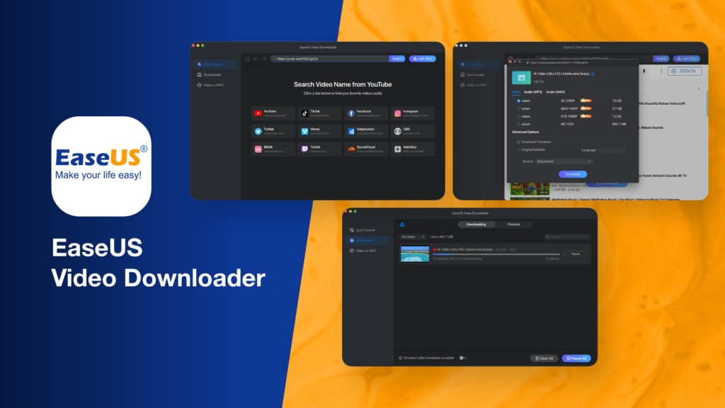 EaseUS Video Downloader