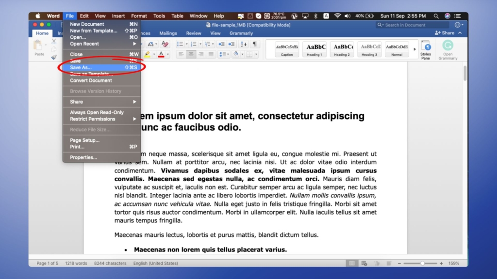 How to convert a Word file into PDF with MS Word
