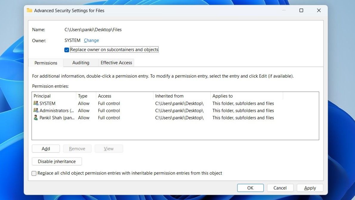 Advanced Security Settings for a folder