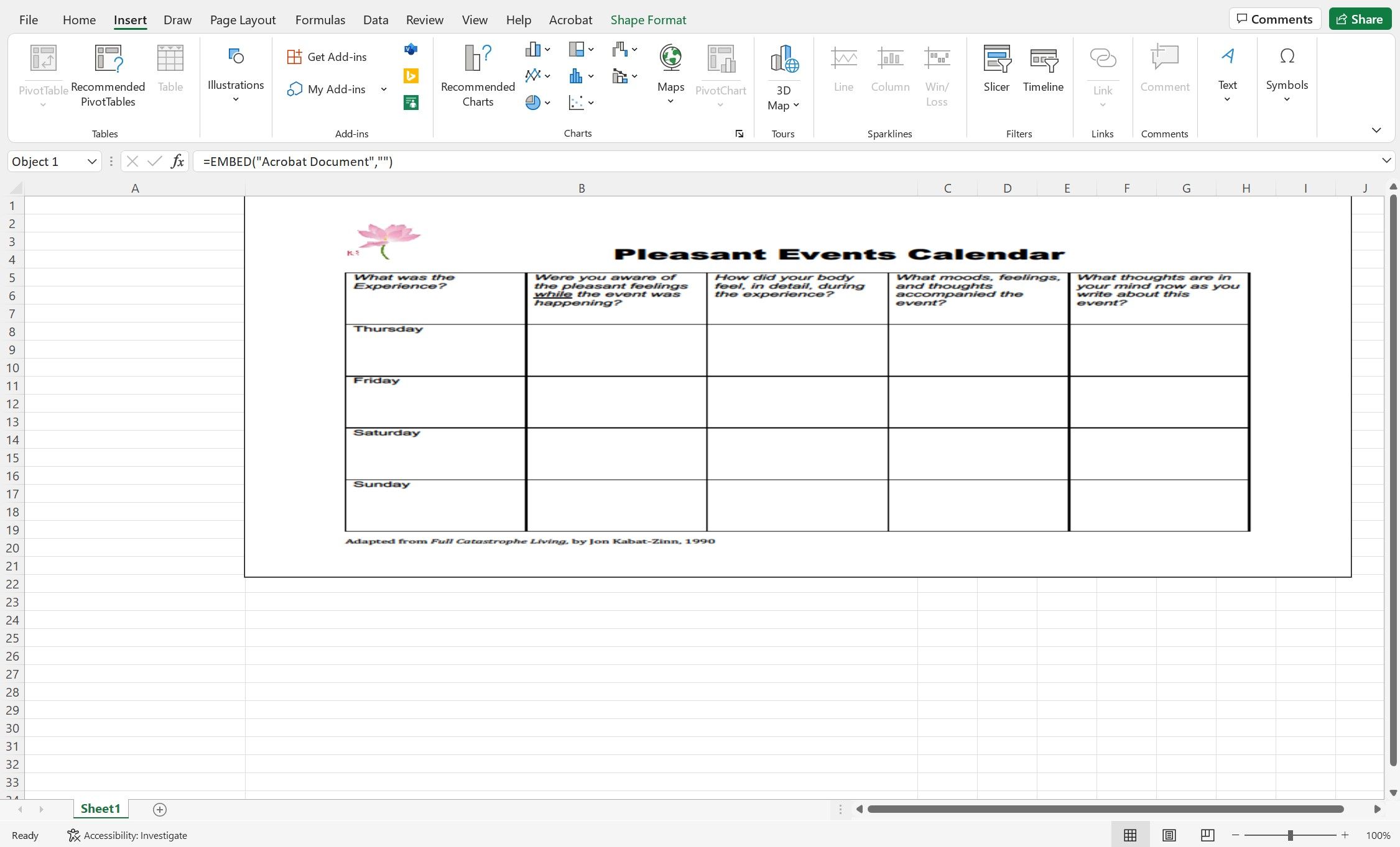 An example of resizing a PDF in Excel by widening the column