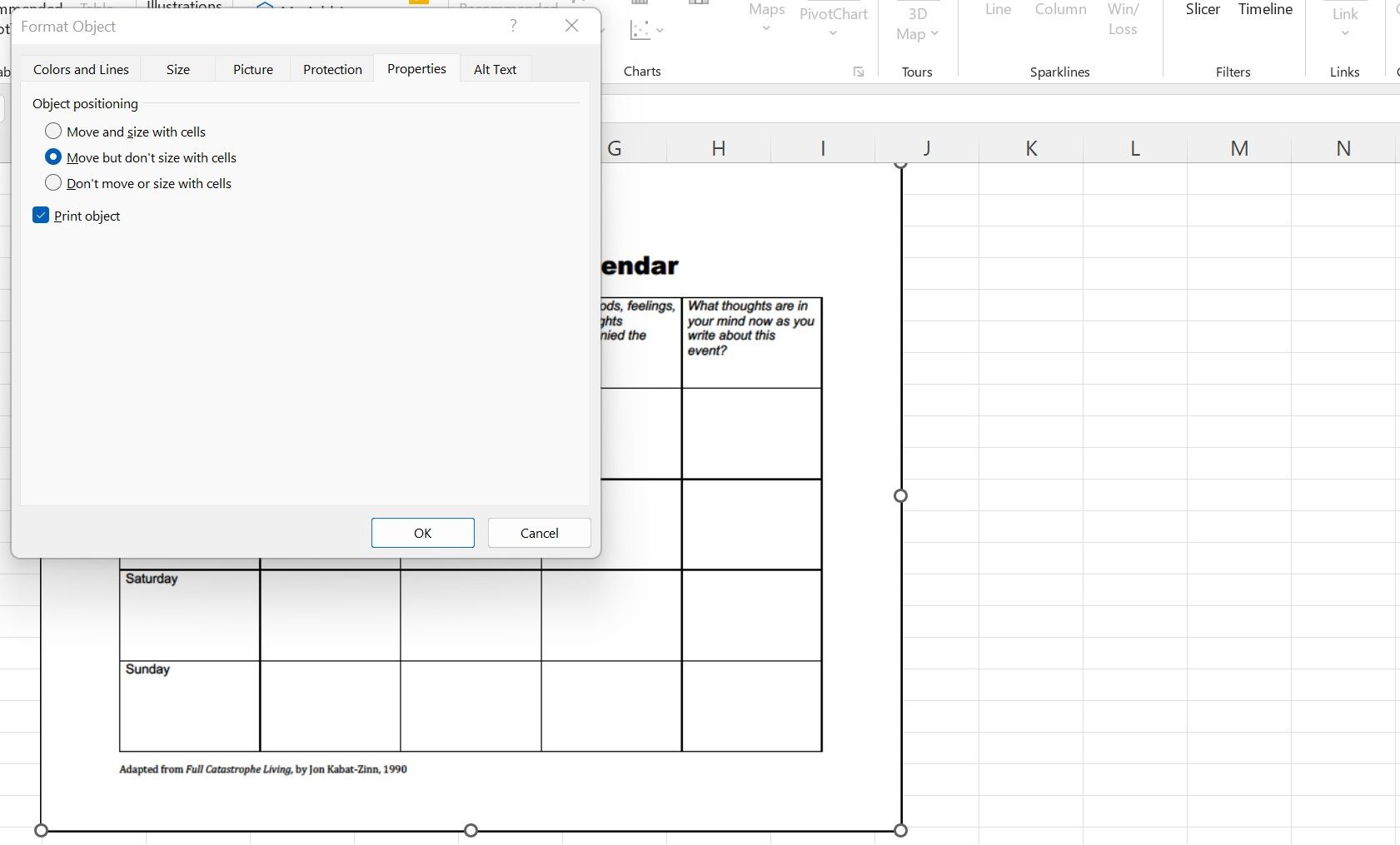 The PDF formatting options in Excel