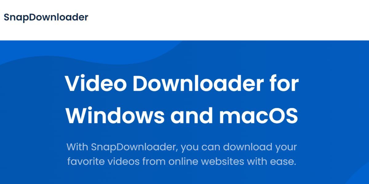 snapdownloader website