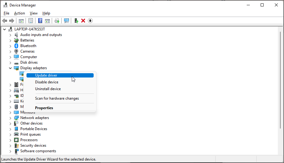 update driver display adapter