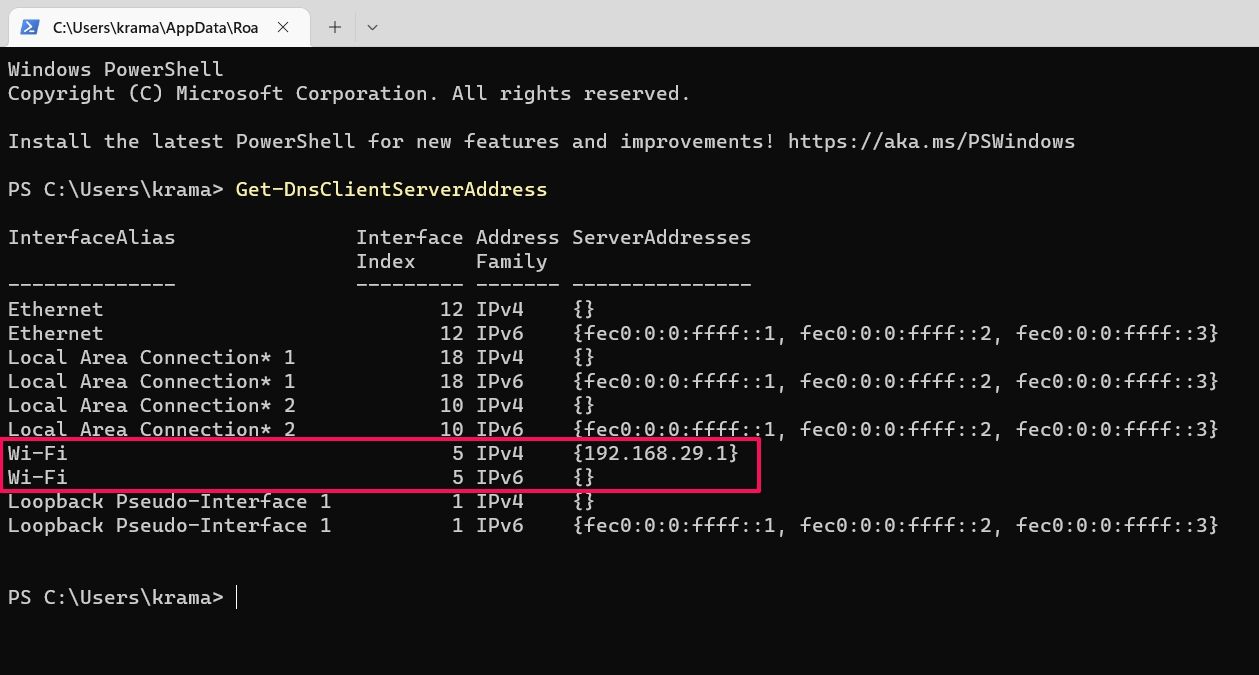 Viewings DNS Server in Windows PowerShell