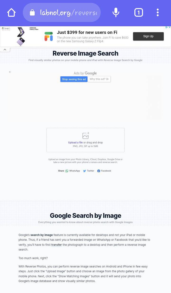 Reverse Image Search web search options