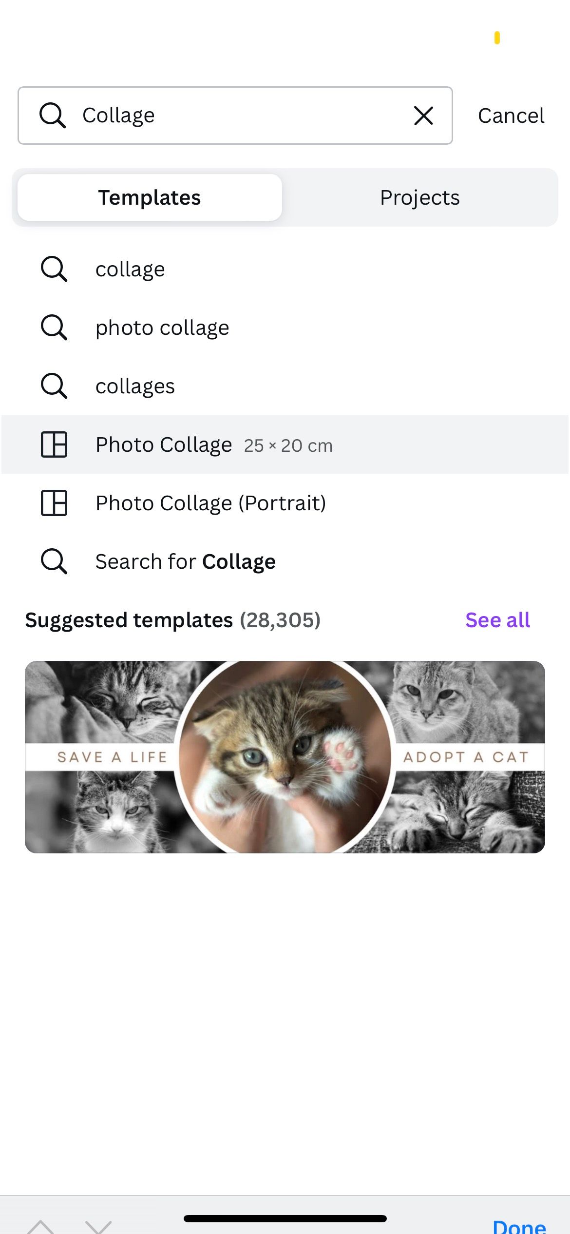 search for photo collage template in canva