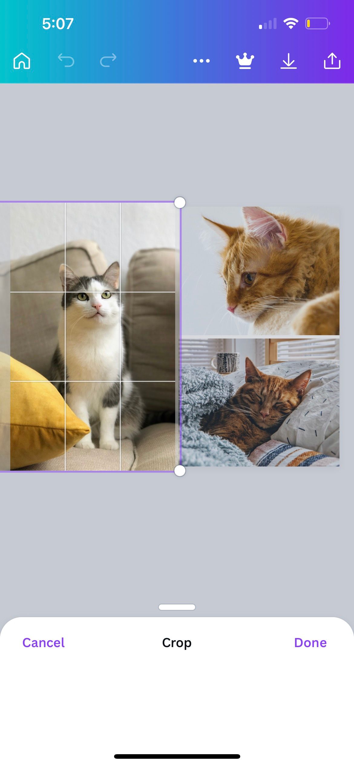 reposition photo in canva grid