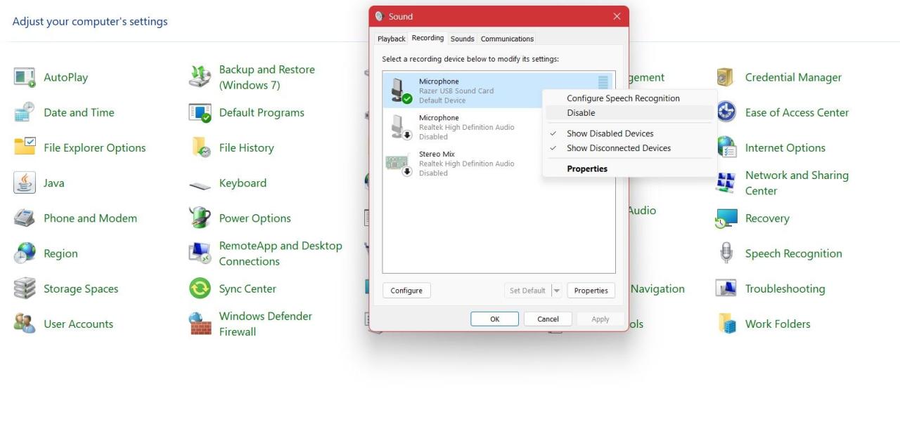 Disabling microphone from Control Panel