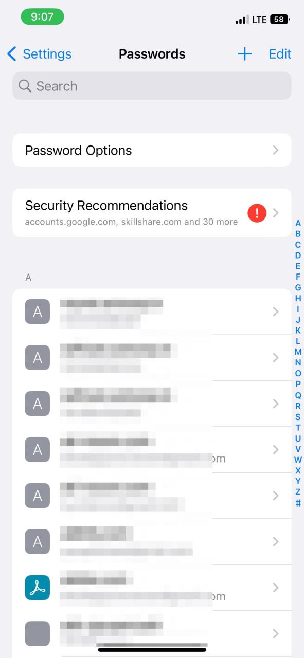 iCloud Keychain Passwords under iPhone Settings