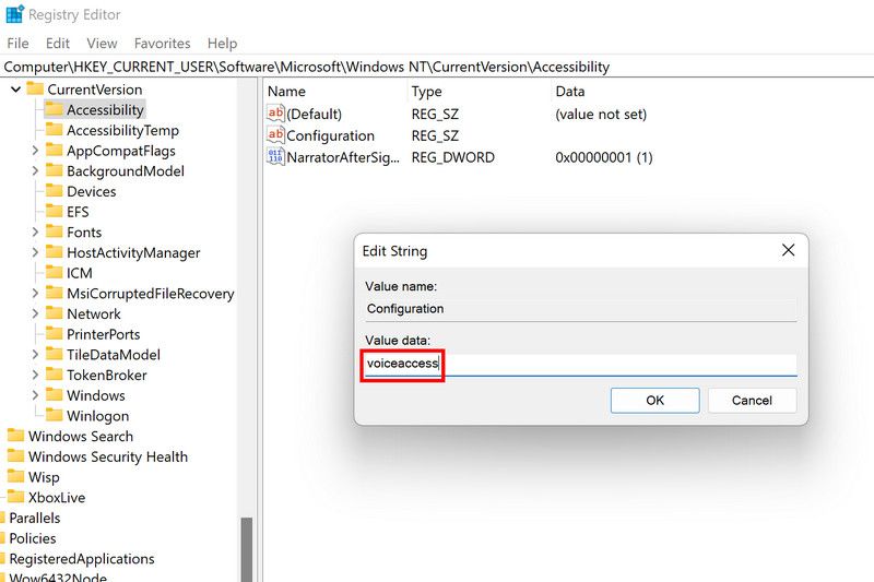 regedit-voice-access-11