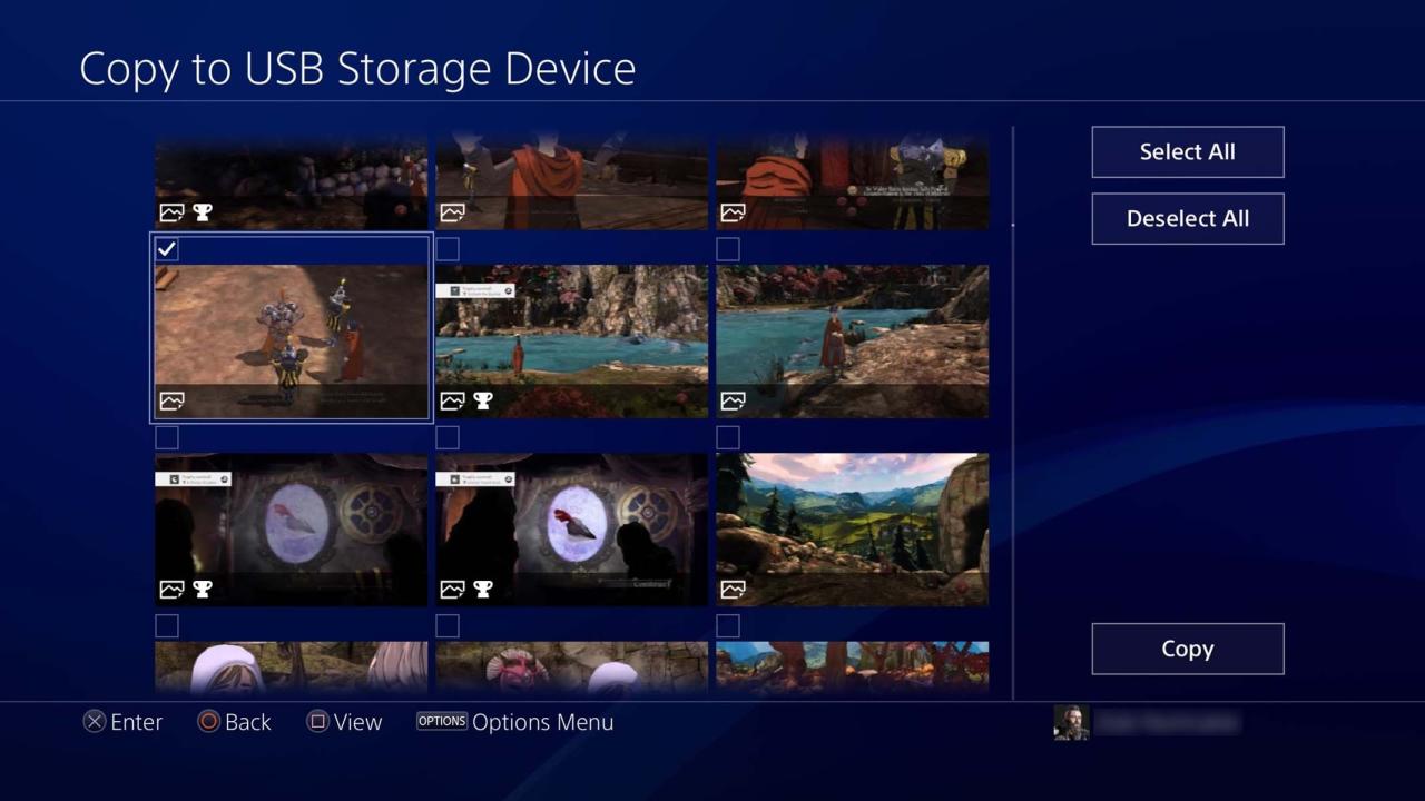 Selecting PS4 screenshots