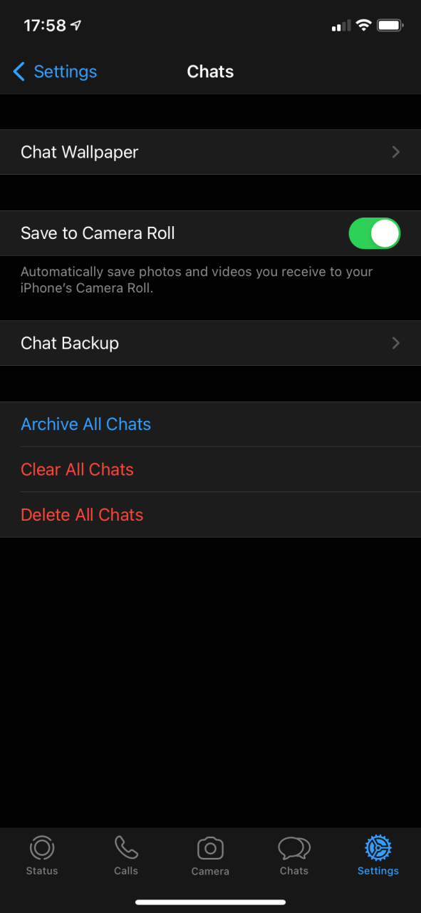 WhatsApp Chat Options