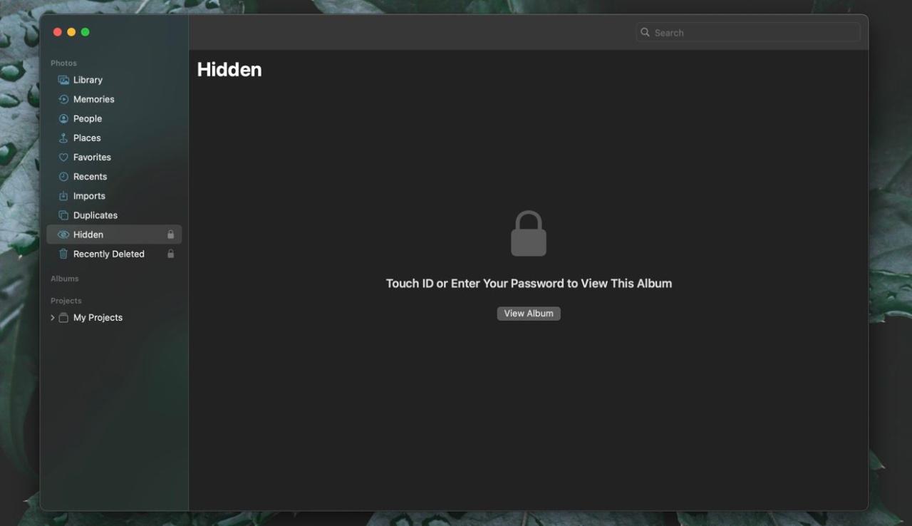 Viewing the Hidden album in Photos for macOS Ventura.