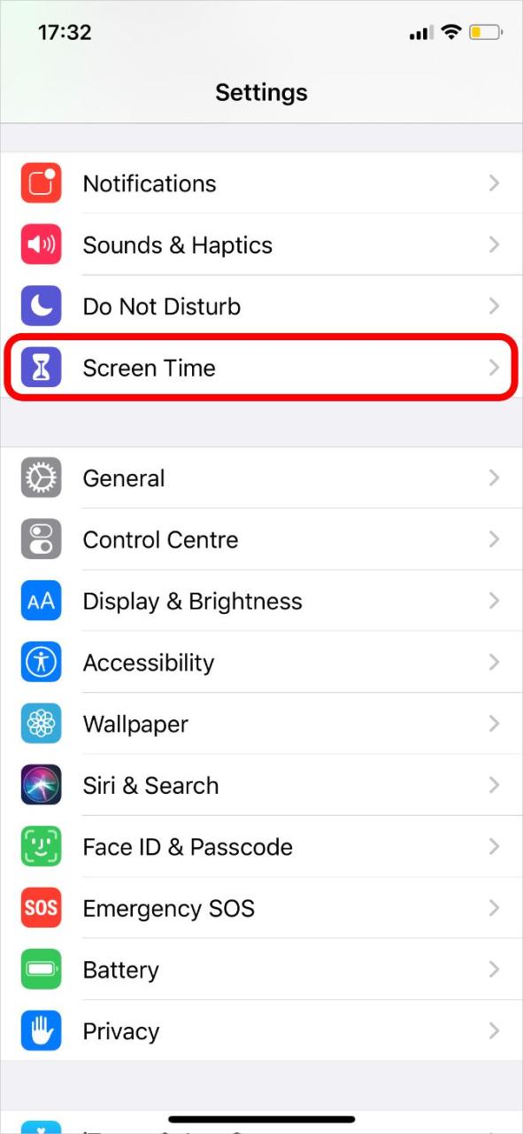 Screen Time settings highlighted in iPhone Settings