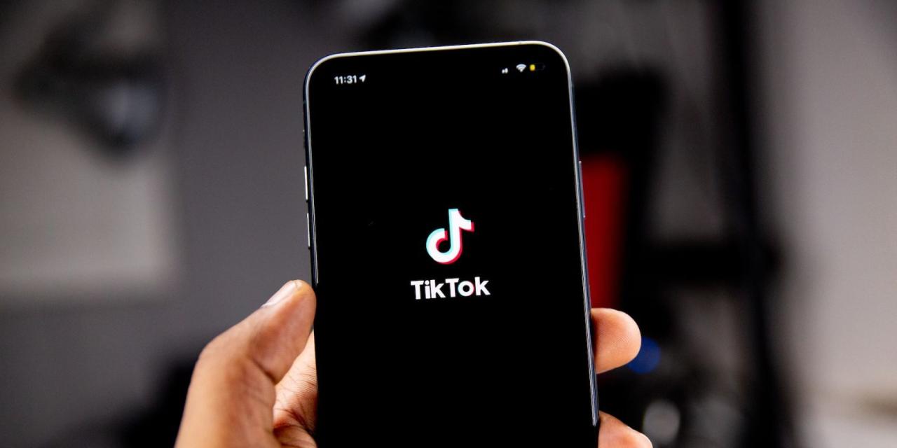 TikTok app on mobile