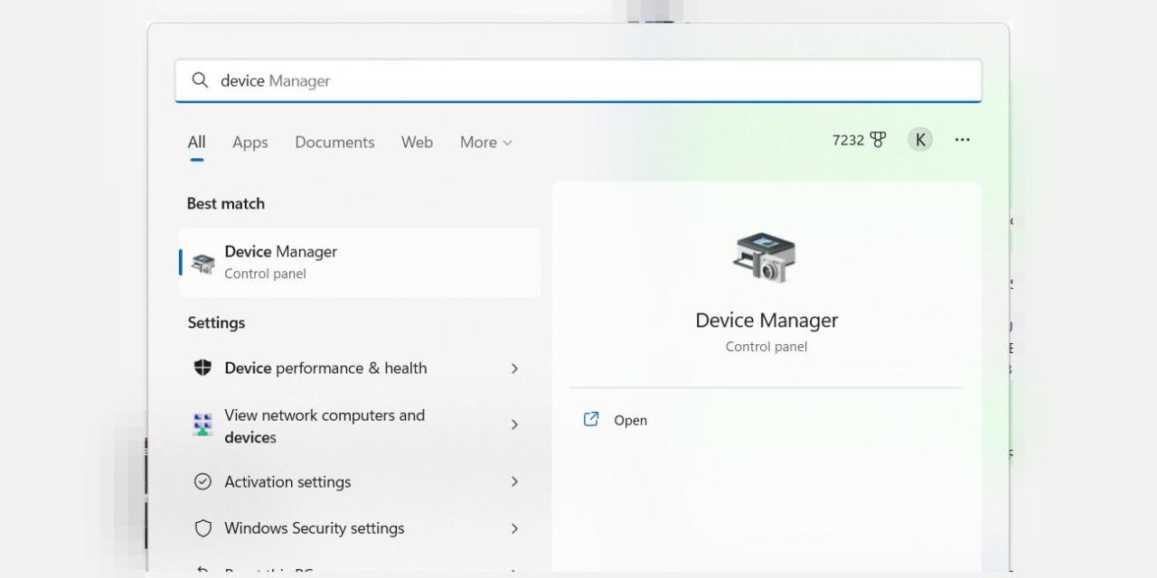 Windows 11 device manager