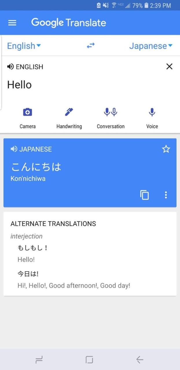 Google Translate Smartphone App Text Translation