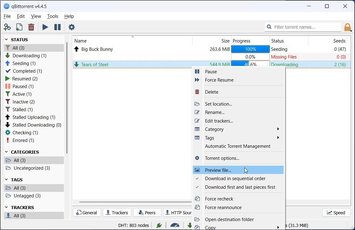 qbit torrent preview download file