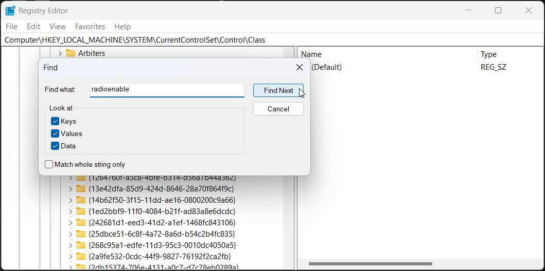 registry editor class find radioenable