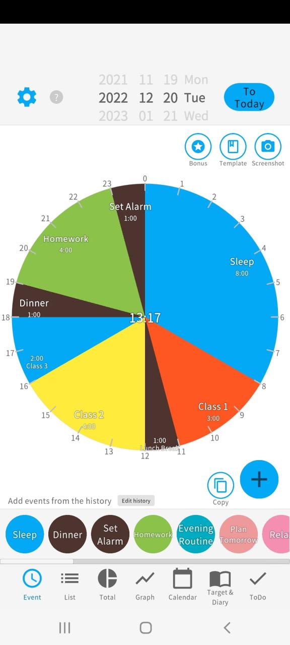 Pie chart view 1 in Daily Planner With Calendar