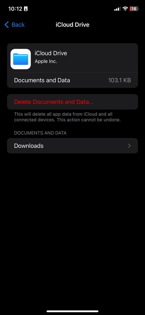 Viewing the size occupied by iCloud Drive on iOS