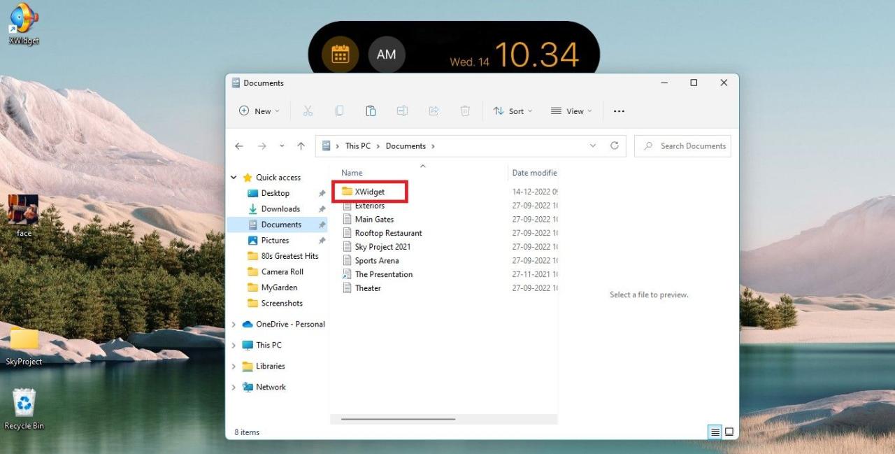 Documents Open Showing XWidgets Folder