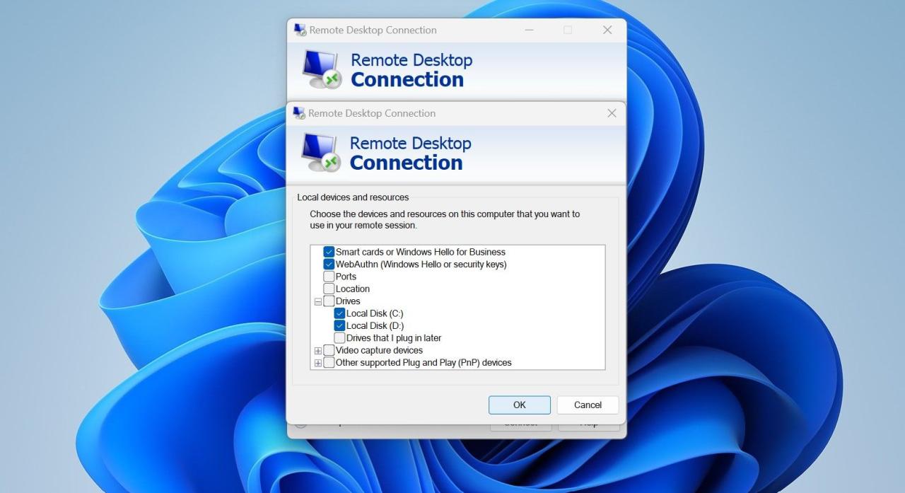 Clicking on the OK Button after Checking the Boxes for Relevant Drivers and Locations in the Remote Desktop Connection Tool Window