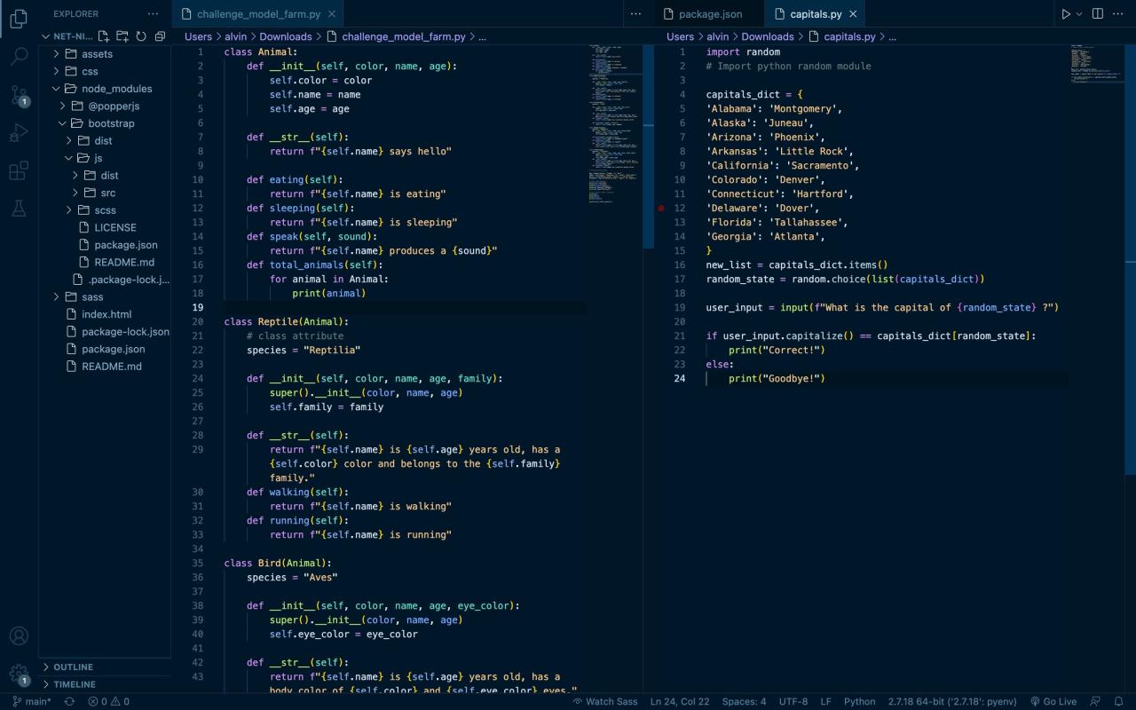 Night Owl theme for VS Code