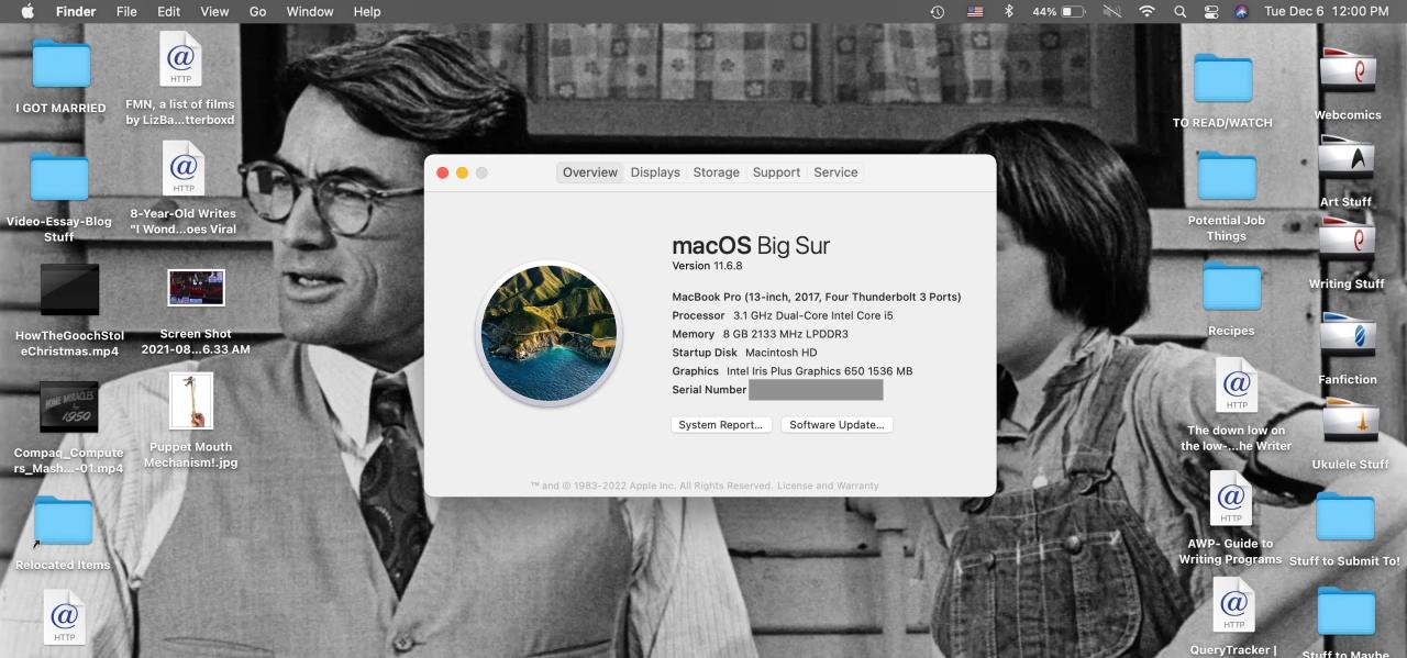 About Mac window open on a MacBook Pro