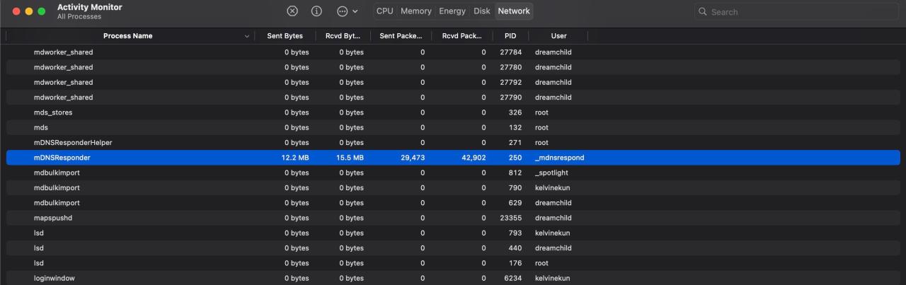 Activity Monitor highlighting mDNS responder