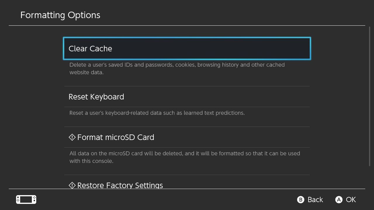 A screenshot of the Nintendo Switch settings for Formatting Options with Clear Cache highlighted