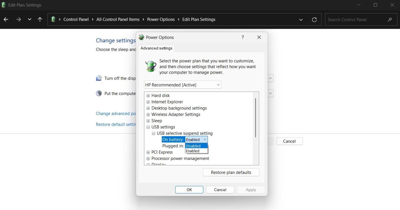 Disable USB Selective Setting in the Control Panel