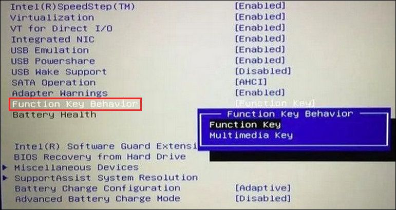 Function Key Behavior 