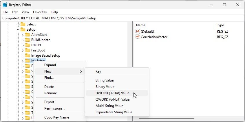 registry editor mosetup new value bypass windows 11 restriction