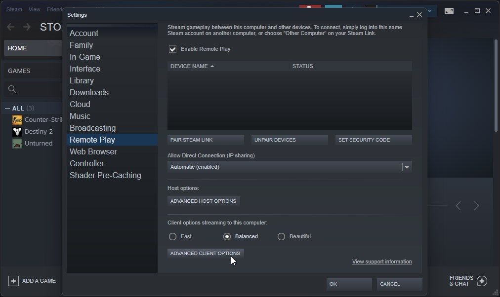 steam advanced client options