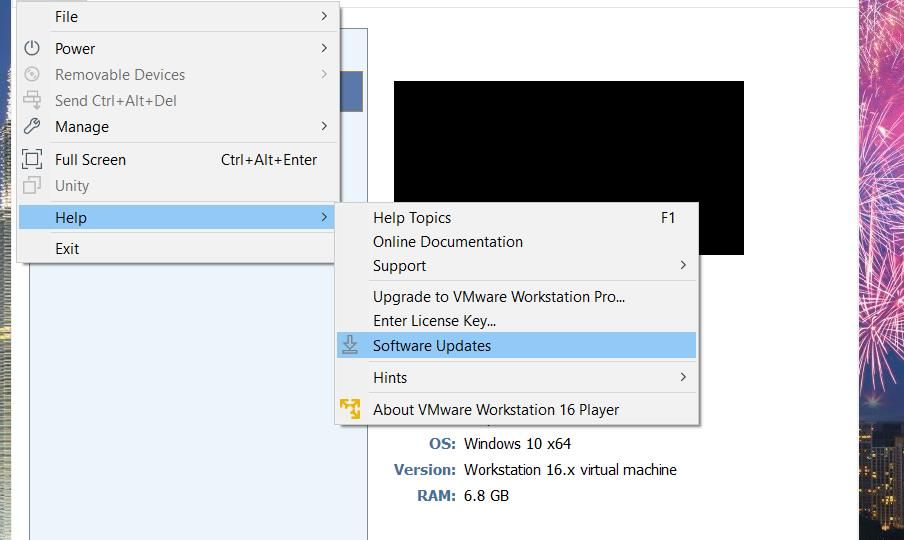 The Software Updates option in VMware