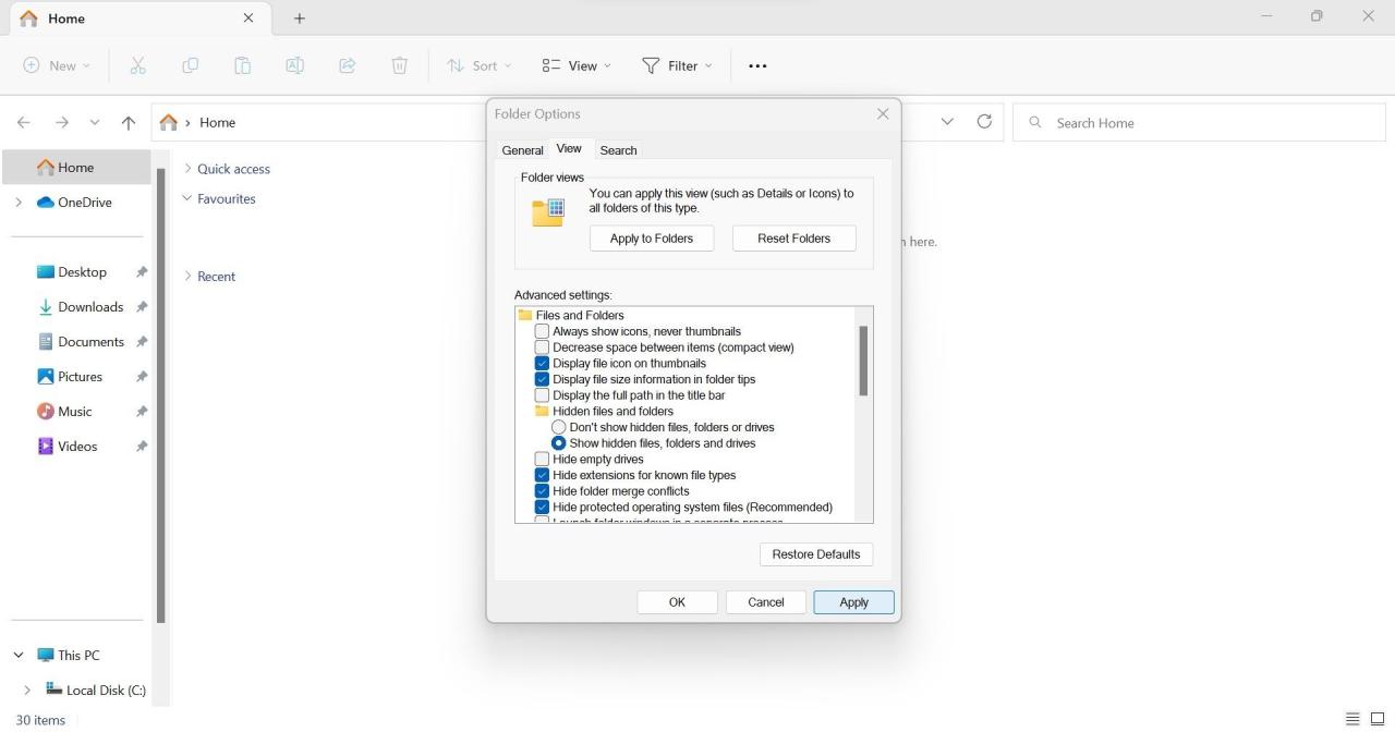 Checking the Circle for Show Hidden Files Folders and Drives in Folder Options Window of File Explorer