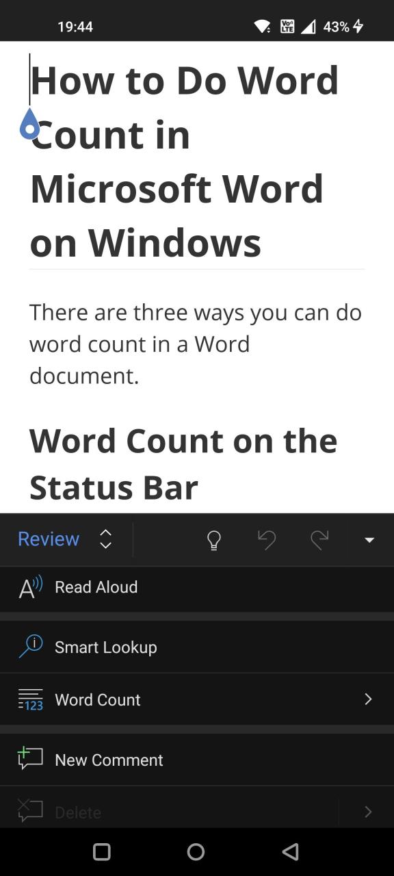 Scroll Down to Word Count Option