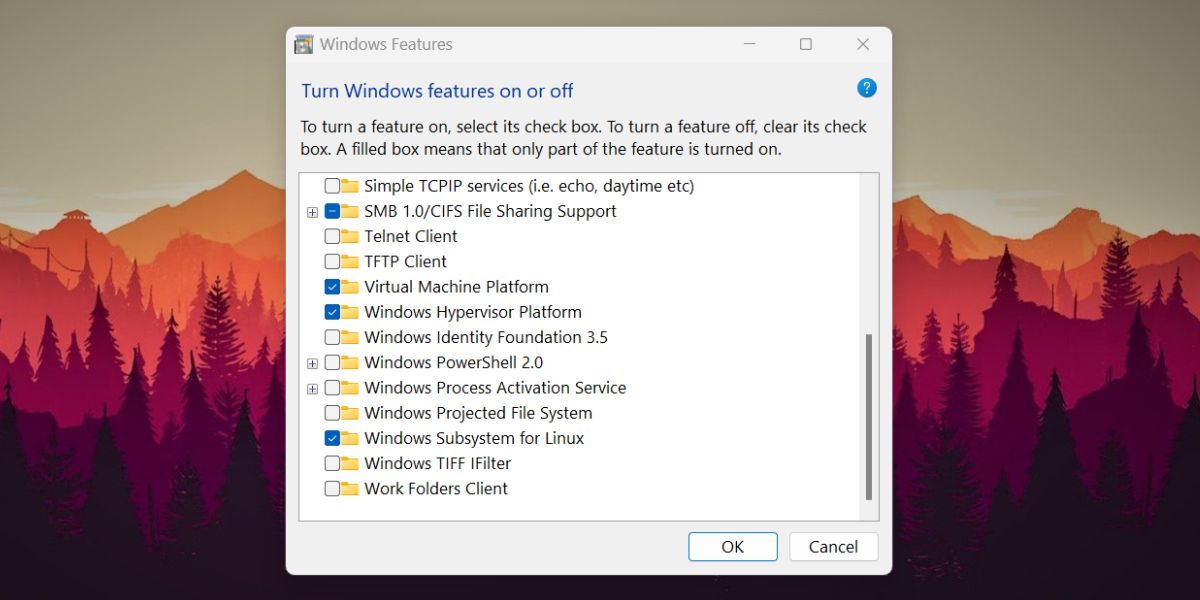 Disable Windows Features