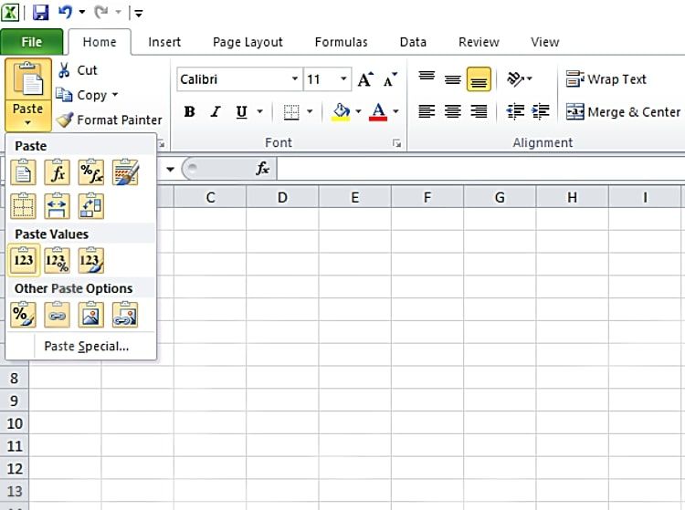 Excel Paste Options