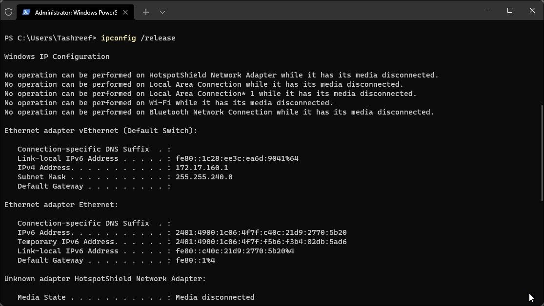 reset internet connection windows 11 flush dns