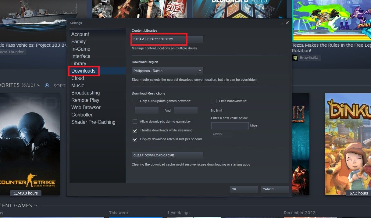 Steam Download settings