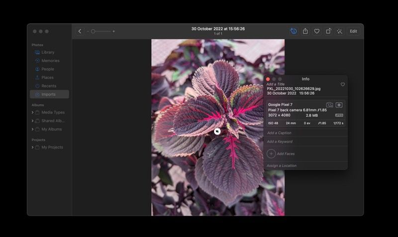 checking image metadata in Photos app 