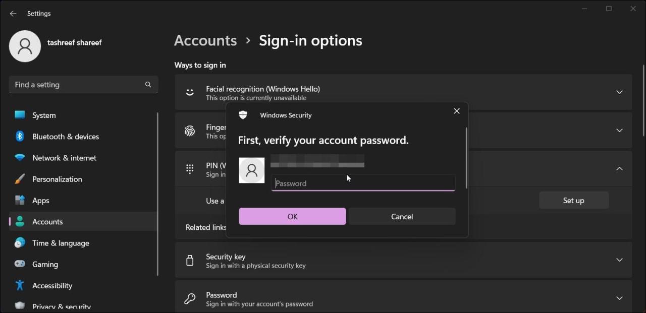 windows 11 sign in options set up pin verify account 