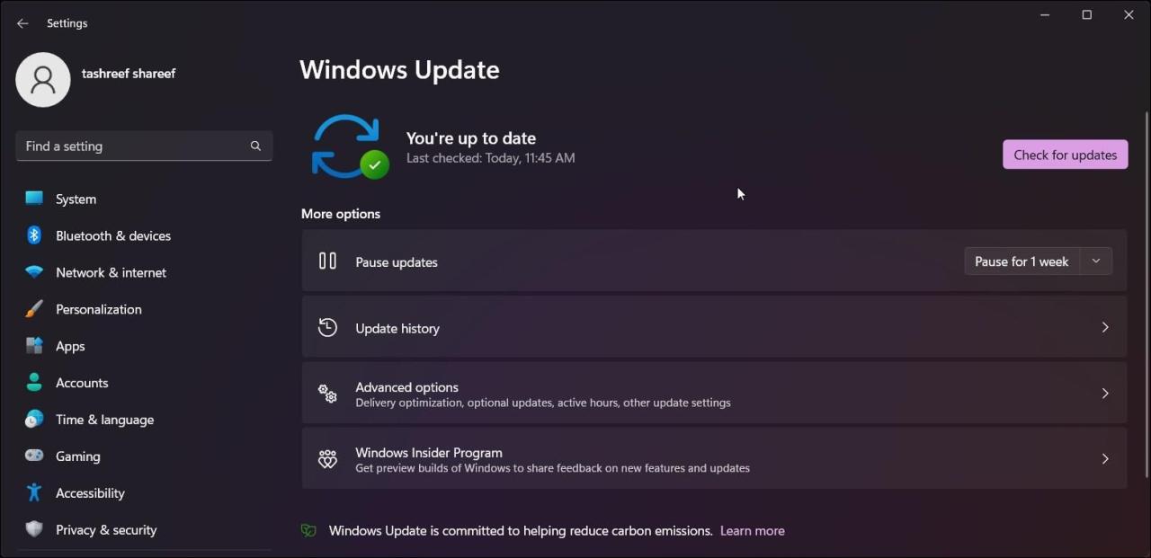 windows 11 update