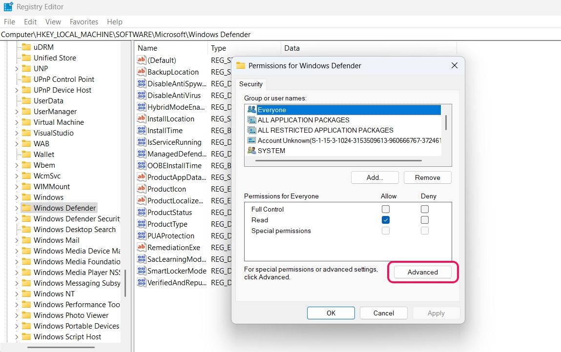 Advanced option in Registry Editor