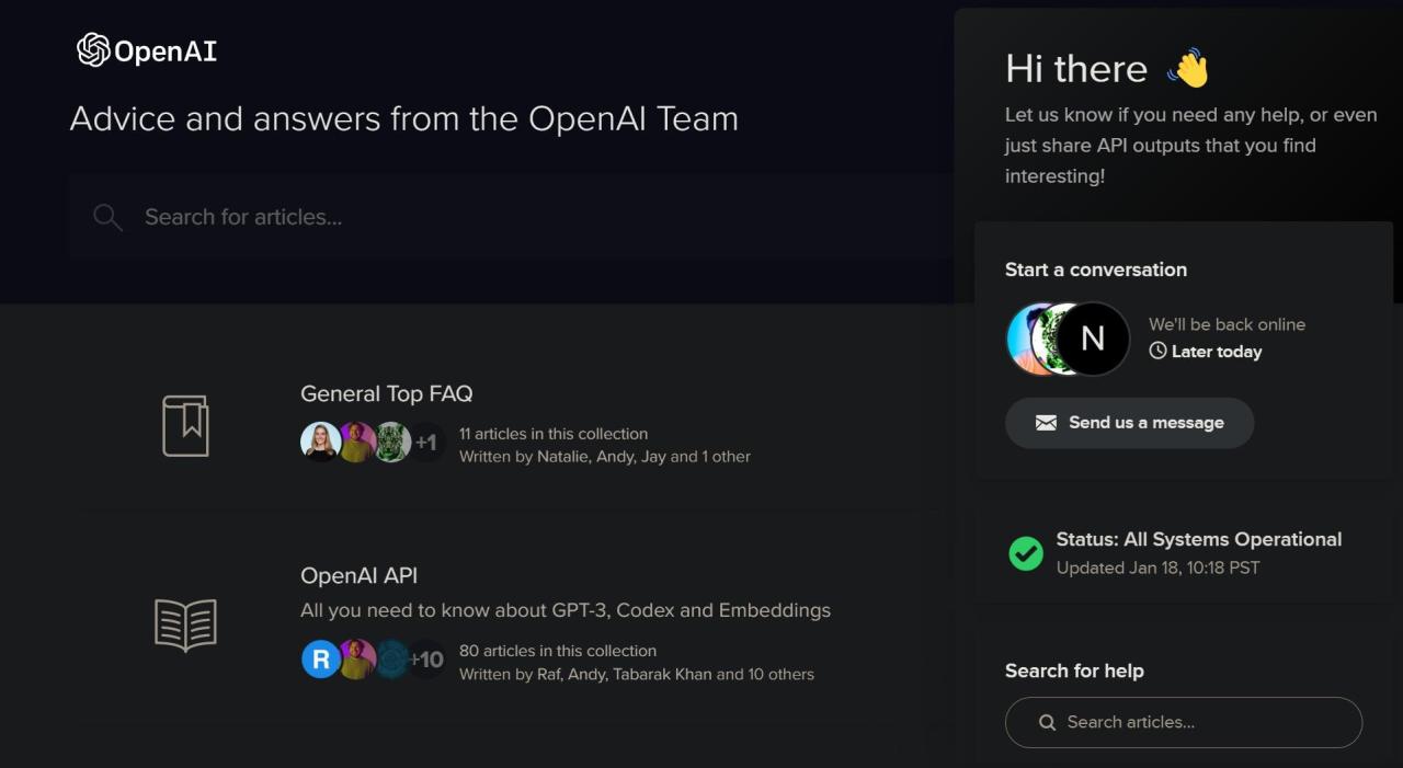 Contacting OpenAI Live Chat Support