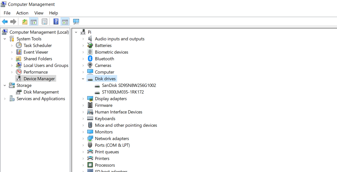 Hard drive detail in Windows 10\'s device manager.